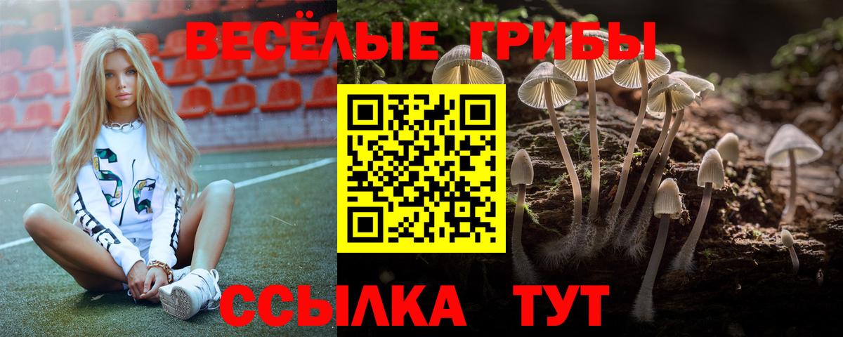 где можно купить наркотик  Псилоцибиновые грибы мицелий  Вход с VPN  Ярцево 